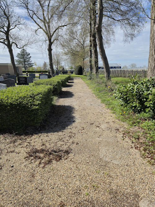 elzenproppen op het kerkhof