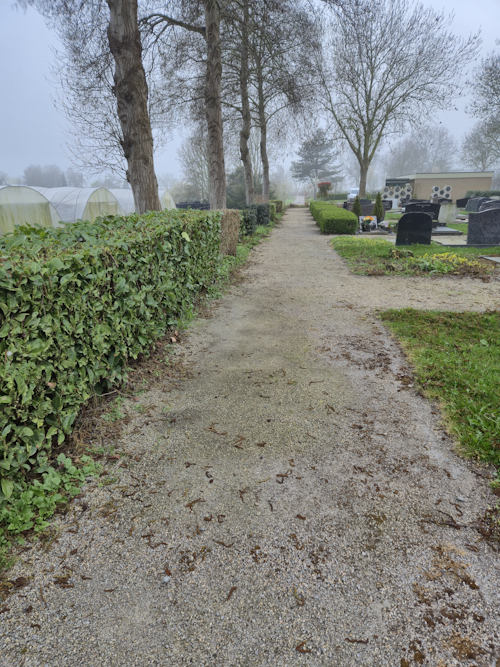 aanzicht nog schone paden begraafplaats eind maart 2026