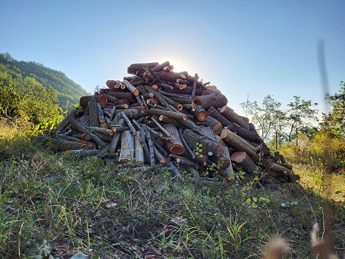 vers gekapt hout op een hoop