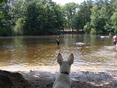 linda, sky en odin drunense duinen