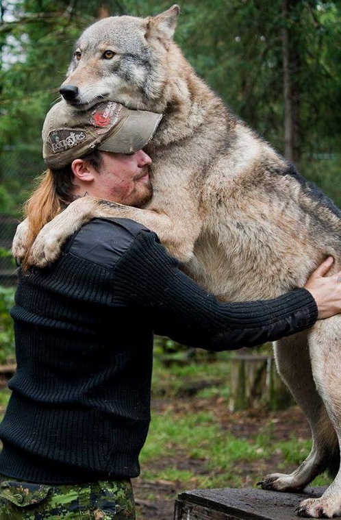 about wolf and man