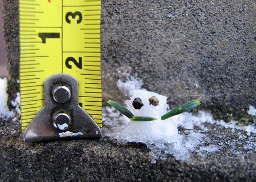 sneeuwpop na code geel februari 2018