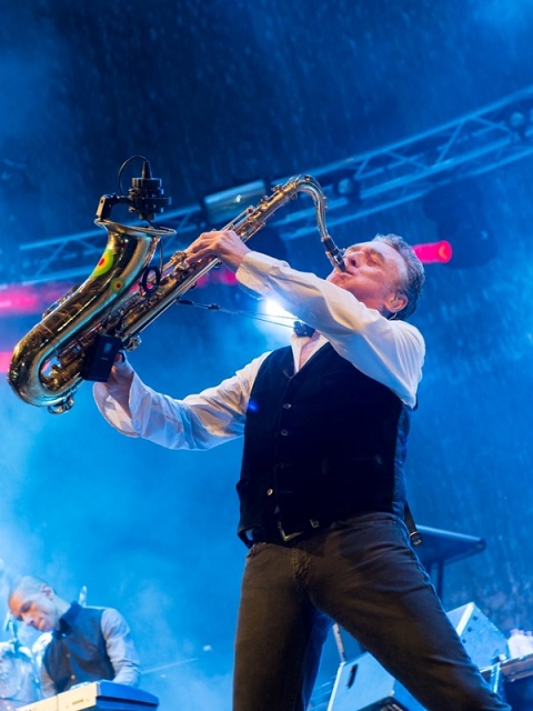parkfeest oosterhout 2016