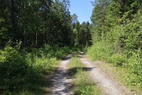 sala storljusen road