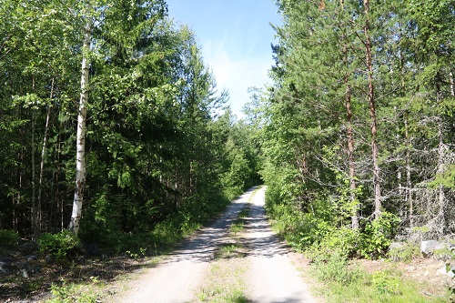 sala storljusen road