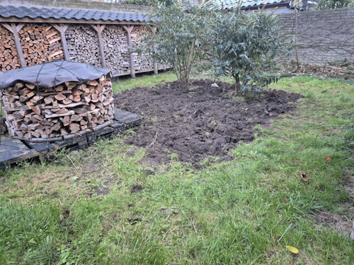 bloembed winter 2025