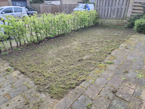 geverticuteerd grasveld