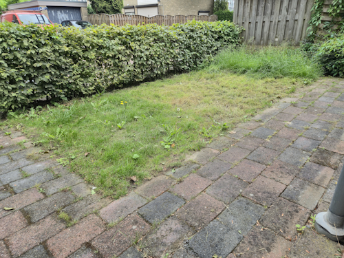 grasveld na 2e maaibeurt, fase 2