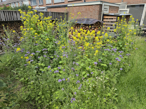 bloembed 15 juni 2026