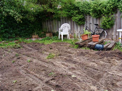 fase 1 van de tuin make-over