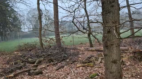 onderhoud brabants bosje voorjaar 2026