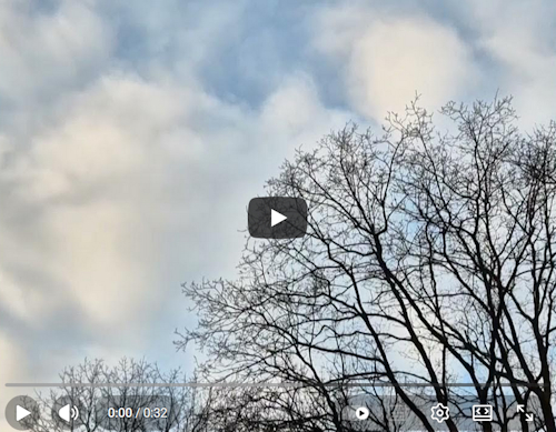 spechtem in gesprek in de vroege ochtend