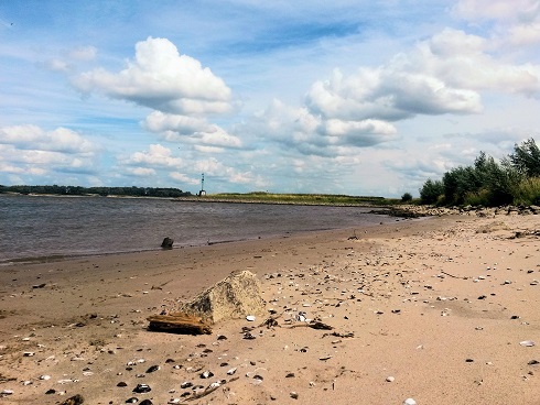uiterwaarden waal zaltbommel
