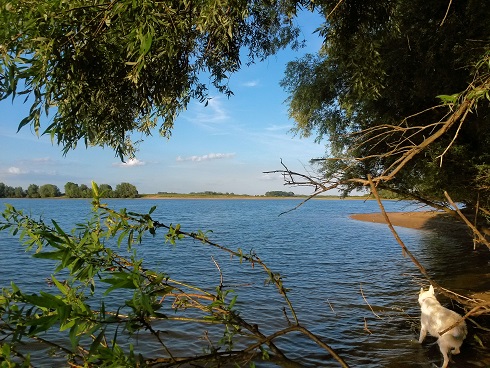 waal hurwenen