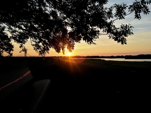 waal zonsondergang dijk zaltbommel