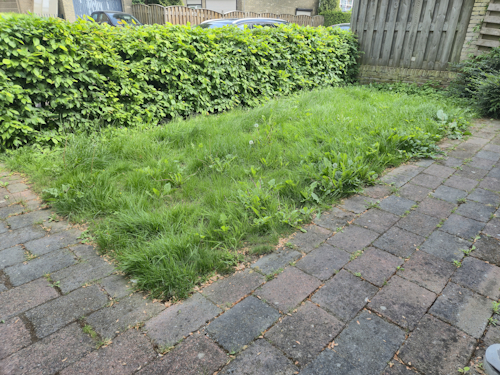 voortuin 13 mei 2026