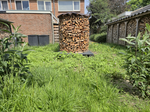 bloembed 13 mei 2026
