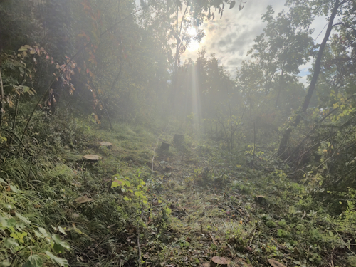 mist in het werkvak op de berg